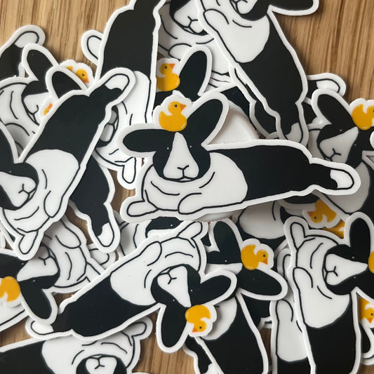 What the duck?